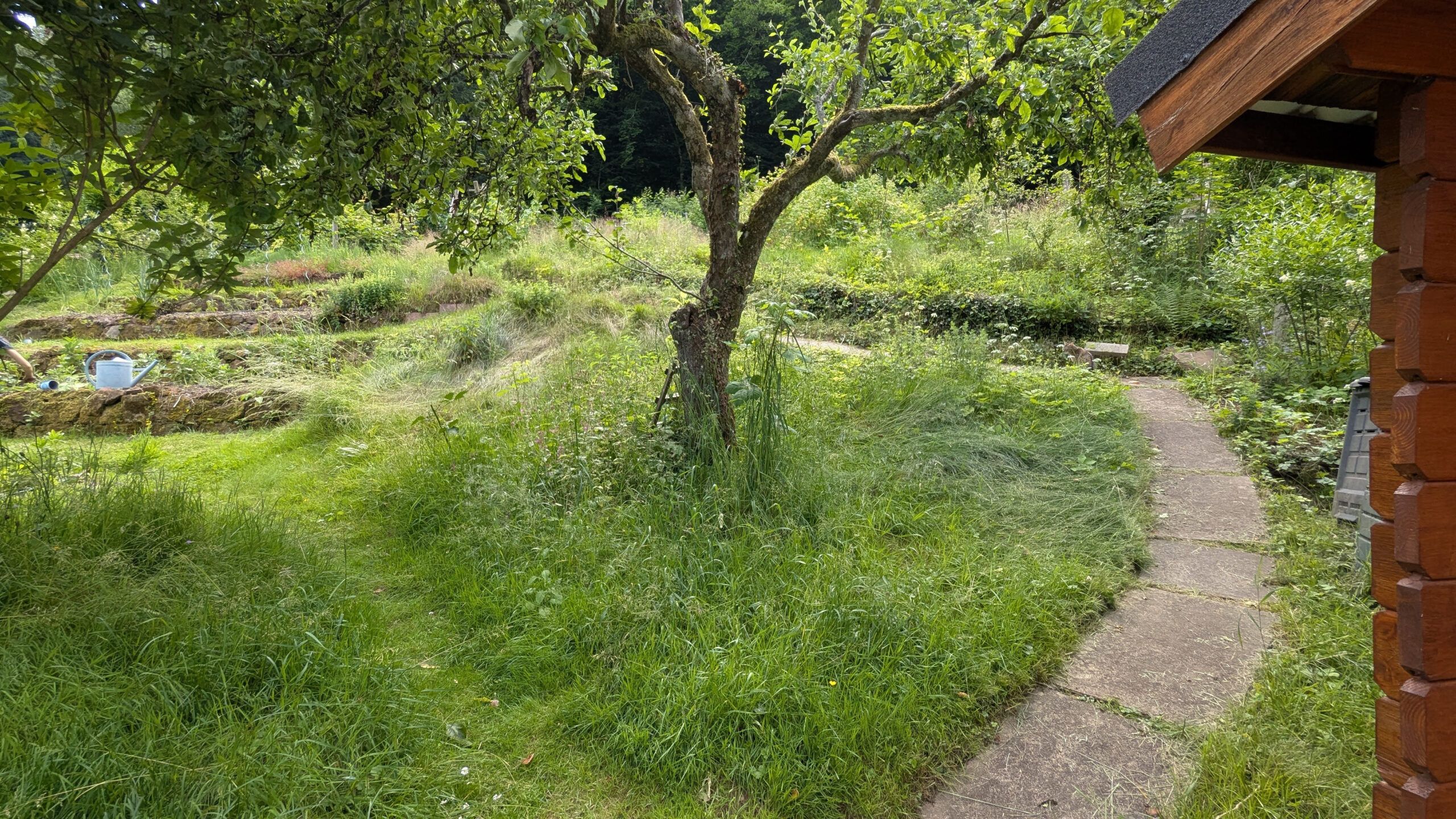 PXL_20250609_130544091