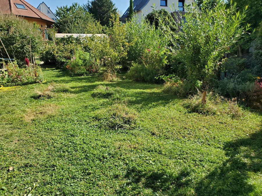 20250824_105741-Bmichel-1